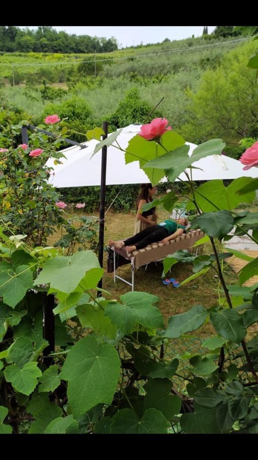 Bed and Breakfast La Collina Olistica Tregnago Exterior foto